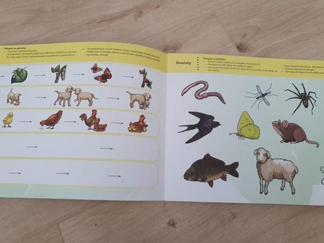 Kompletnásada pracovných zošitov pred predškolákov,