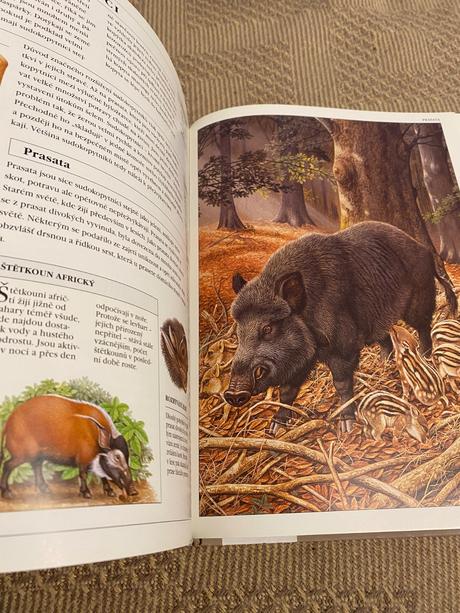 Velká ilustrovaná encyklopedie zvířat savci od a,