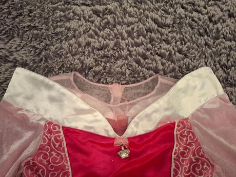 Šaty pre šípkovú ruženku,