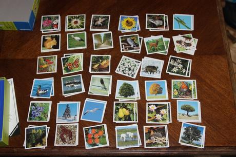 Hra natur memory  - pexeso priroda, 