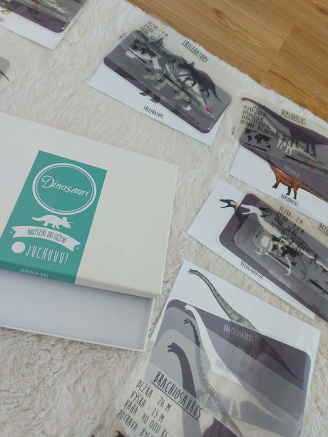Montessori dinosaury, 
