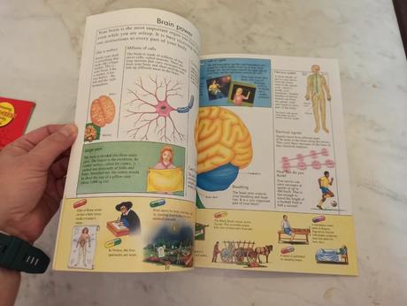 Knowledge masters - how your body works, 