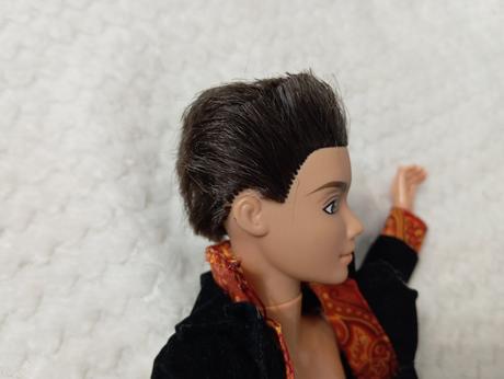 Barbie my scene chlapci ken, 