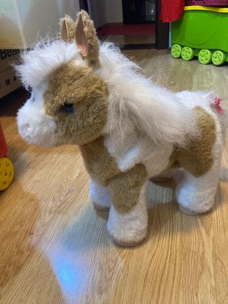 Kon zvuky vydava a hybe sa,