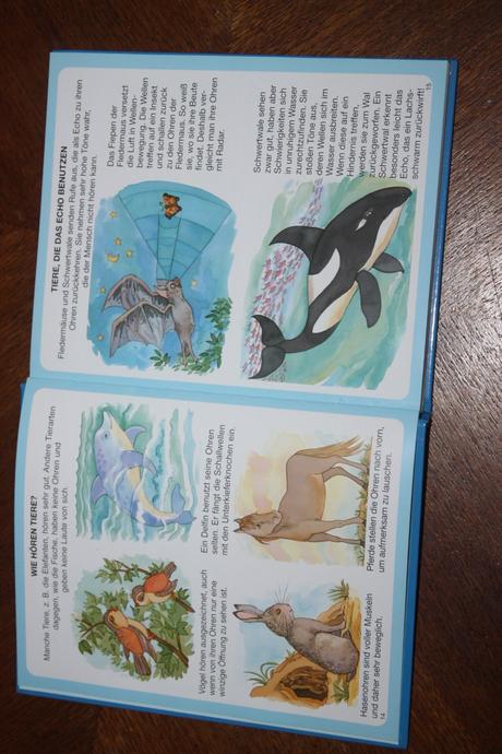 Dein buntes wörterbuch 5 ks, 