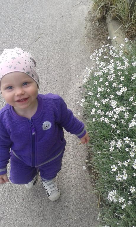 Lego supravicka, lego,80