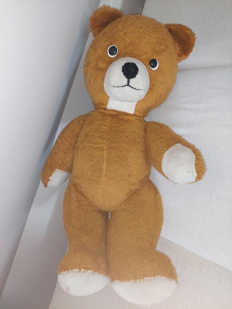 Retro medveď velky, 