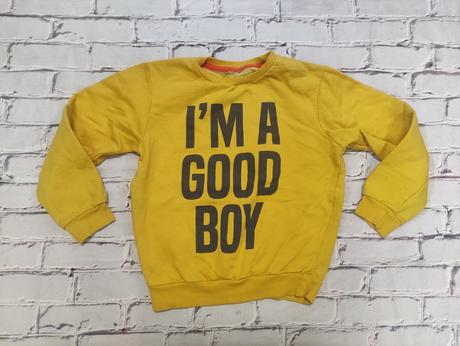 Mikina pre chlapca, 110