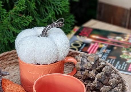 2 ks tekvičky huňaté menšie, 