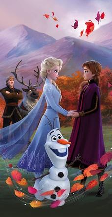 Osuška ľadové kráľovstvo 2 wind 70/140,