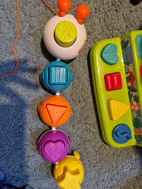 Húsenica vkladačka, 