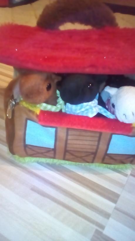 Plyšova stajňa s koníkmi, 