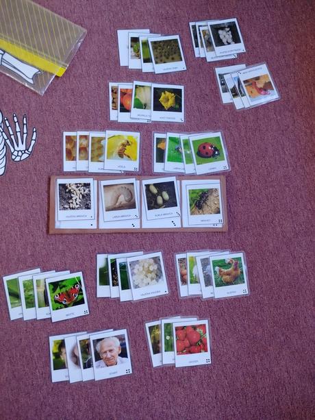 Vzdelavacie montessori aktivity,