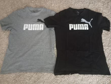 Tričká puma, puma,164