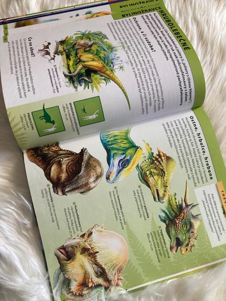 Dinosaury encyklopédia pre deti vo veku 7-10 rokov,