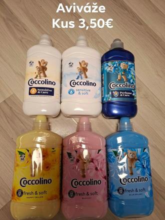 Cocolino, 