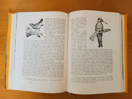 Charles darwin - cesta okolo sveta (1960), 