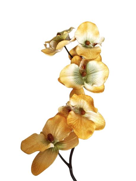 Umelá orchidea, 