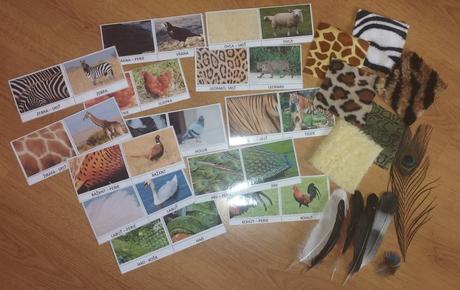 Senzorické kartičky zvierat, 