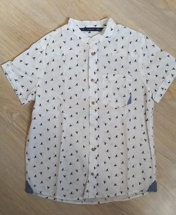 Kosela zn.terranova, terranova,134