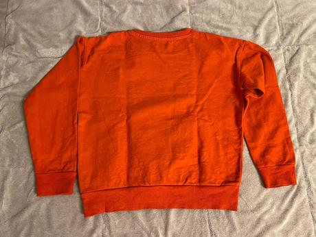 Dinosaurova mikina c. 128, 128