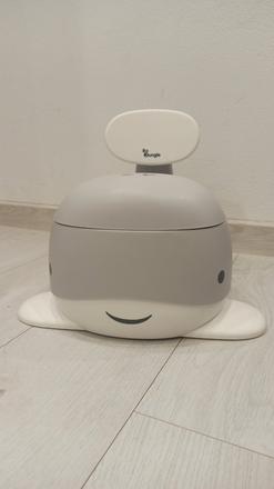 Nočník veľryba sivý,