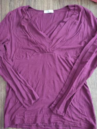 Top palmers, palmers,40