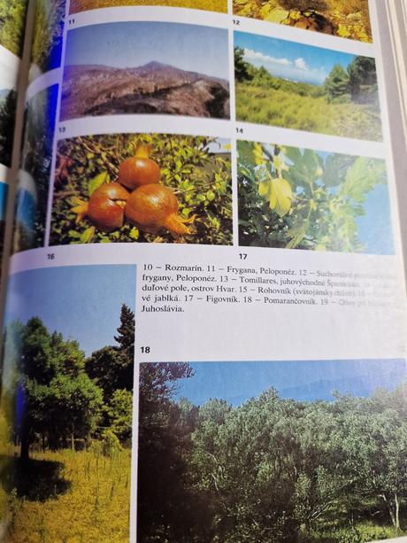 Predám knihu encyklopedia zeme z roku 1995. 717 s,