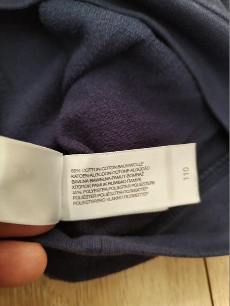 Mikinka, palomino,110