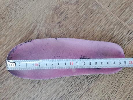 Čižmy, authority,30