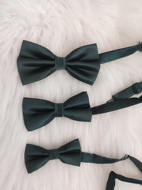 Motýliky smaragdové otec-syn-bábo,