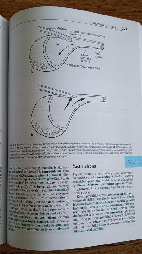 Fyziologie a funkční anatomie domácích zvířat,