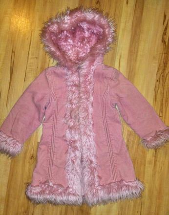 Mencestrovy kabatik, ladybird,104