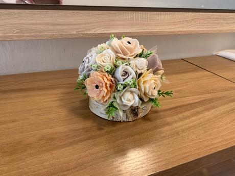 Mydlova kytica na brezovom dreve, 