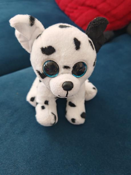 Malý dalmatínko na cesty, do škôlky vhodný,