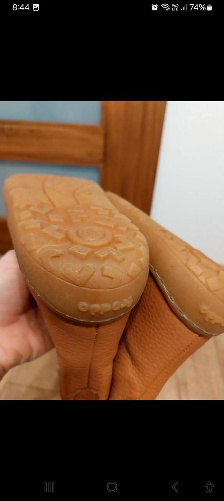 Froddo celys, froddo,34