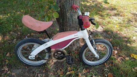 Bmw kidsbike 2v1 bicyklik + odrazadlo, 14