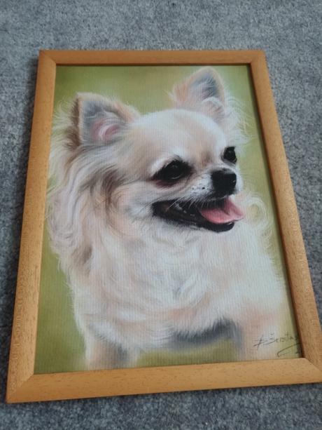 2x obraz od maliara,