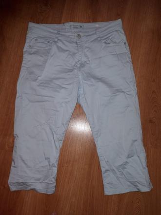 Bledomodre letne tristvrtaky l, l