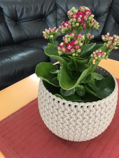 Plastový črepník, 