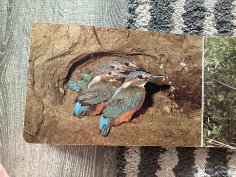 Pri vodičke, na vode /leporelo-prvé vyd.1989, 