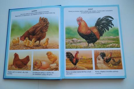 Nové obrázky zvierat, 