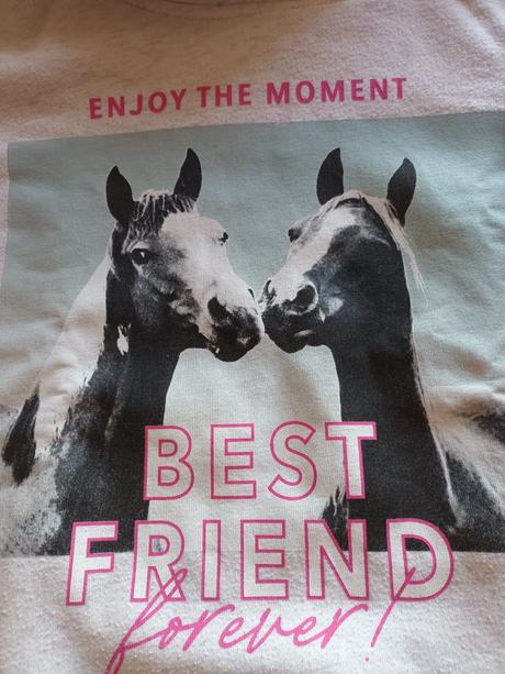 Koníkova mikinka, dopodopo,134