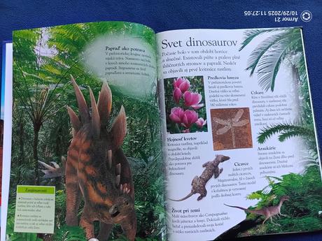 Dinosaury život, potrava, mláďatá, súboje, ako vyh,