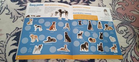 Psy a mačky, 