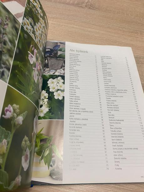 Velká kniha bylinek bylinky, 