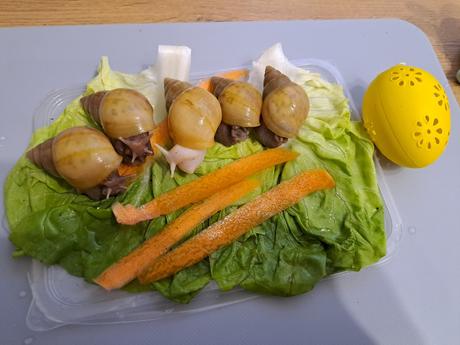 Africký slimáčikovia  mix, 