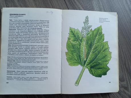 Malý atlas liečivých rastlín, 