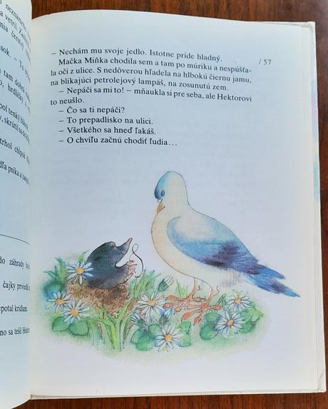 Hľadajte šamíska, 
