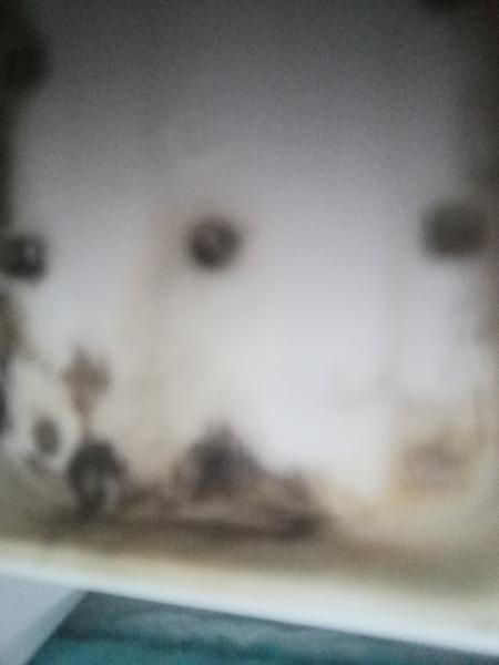 Čím vyčistím zanesenú pračku?